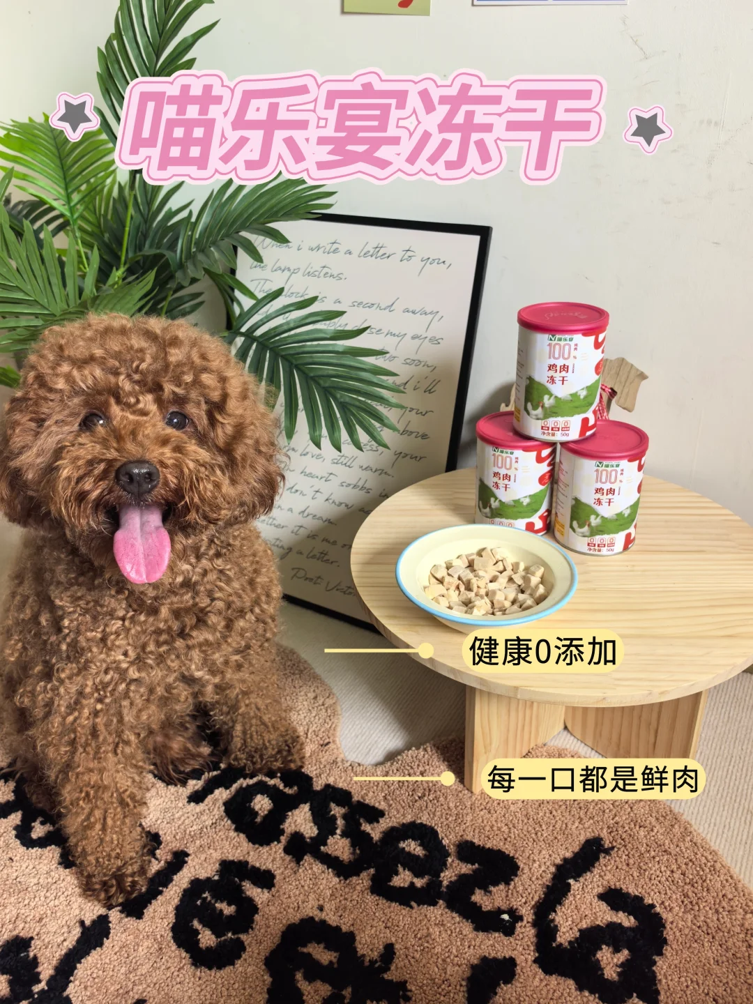 终于挖到豆丁爱吃的冻干了！