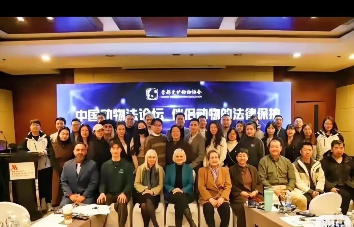 中国动物保护论坛，头排坐几个老外 