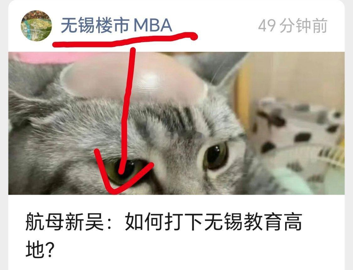 公号文章，我也已经写了，为什么这么突然，也是没办法，形势所迫，顺带还能看看这样发