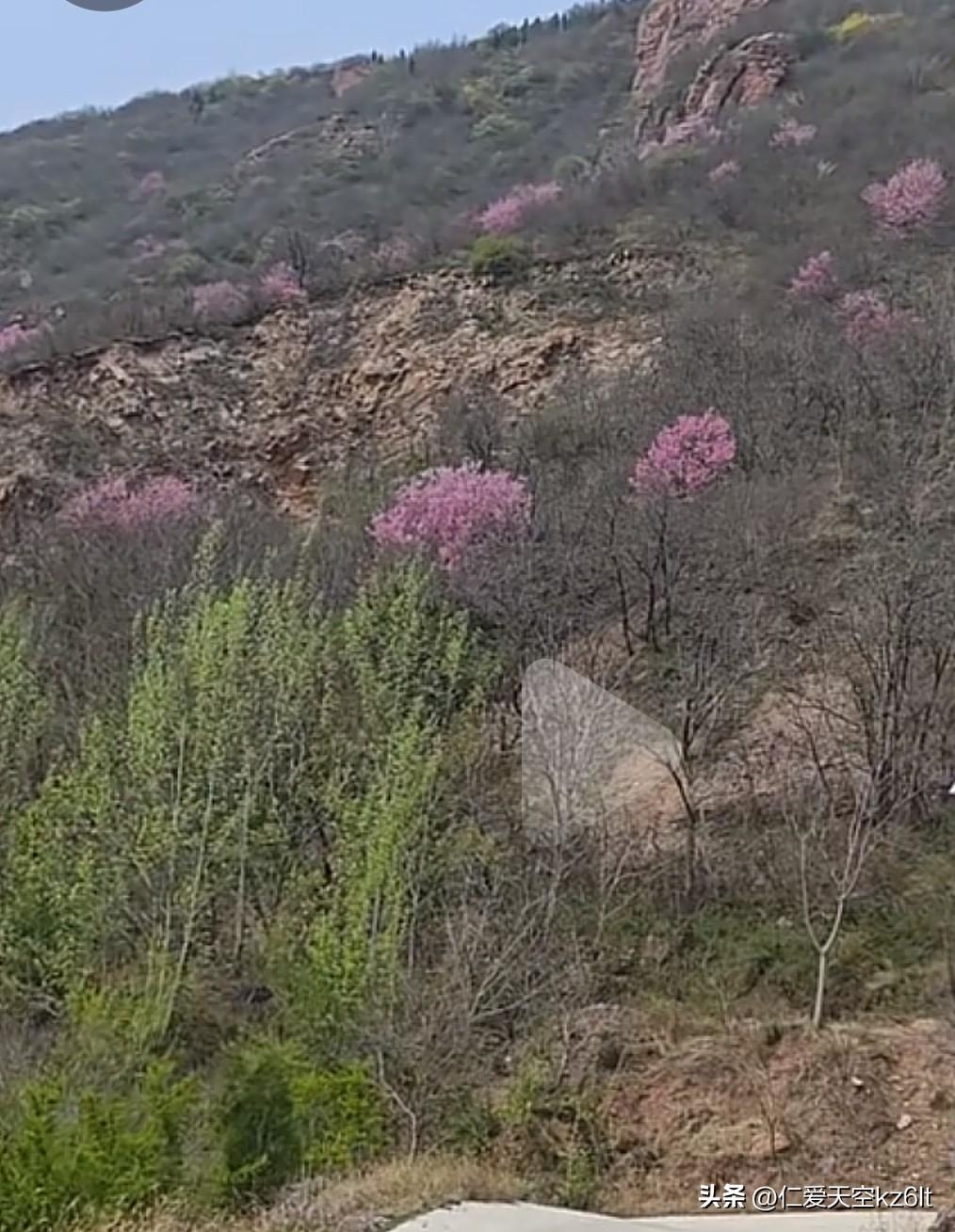 风一吹，春天就来了。
阳光正好，花开温柔，日子慢慢走，把平凡的日常过成喜欢的样子