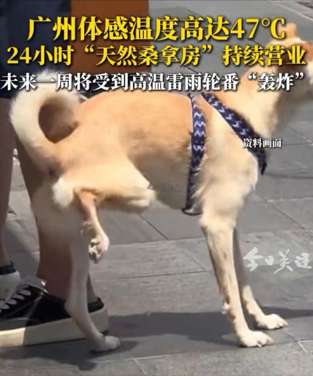 广州体感温度最高近47度 广州的同胞注意防暑降温了
