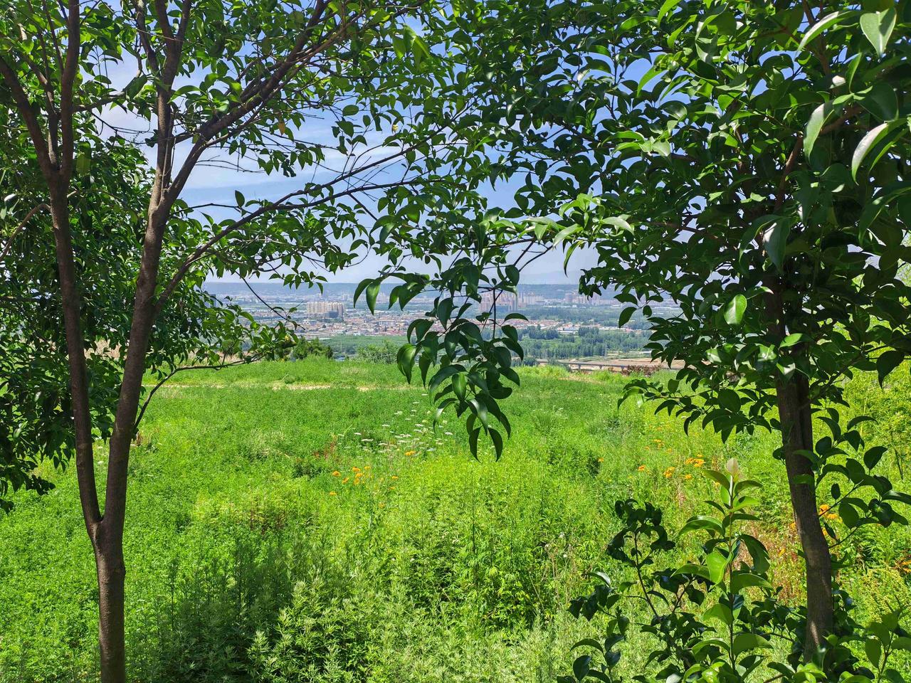 我的今日状态：😁轻松愉快
我这里的天气：☀️晴天
带定位晒今日的生活。现在的这