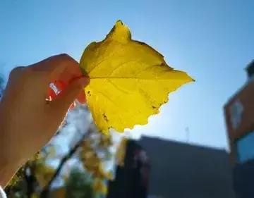 大部分的侄子，侄女，在小时候都被他们的姑姑发自内心的万般疼爱过，但是当姨妈的做不