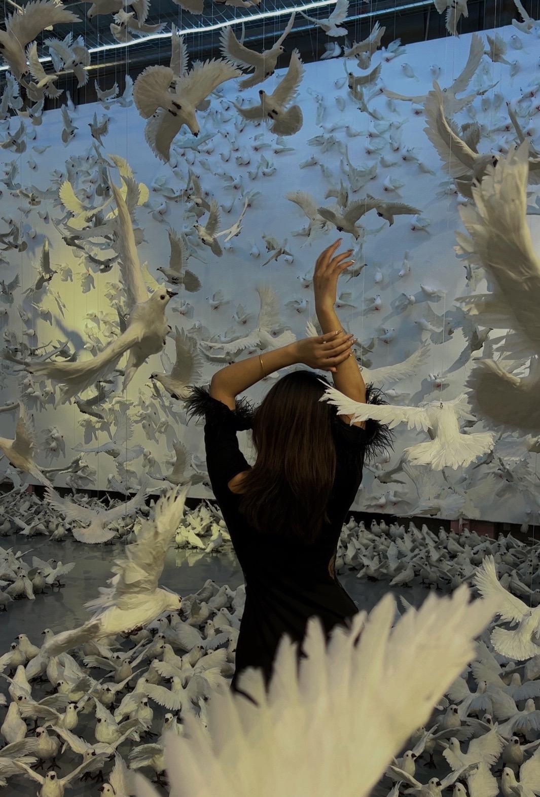 周末去哪玩 看展打卡 氛围感 网红拍照景点 拍照📸