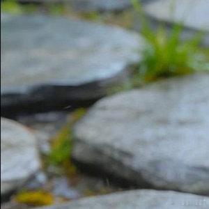 每日一善每日一善 拥有宁静的心灵，才能发现意想不到的美。只要心是晴朗的，人生就没