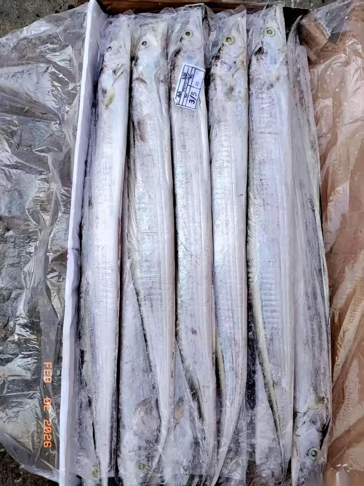 买带鱼别只认“舟山”俩字，摊主揭秘真实产地。

市场里泡沫箱上红纸黑字的“舟山特