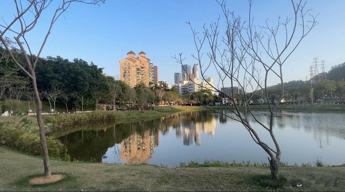 记录今天出行，是去银湖的小社区公园。小小的公园，人流如织。因为是学生放学的时间，