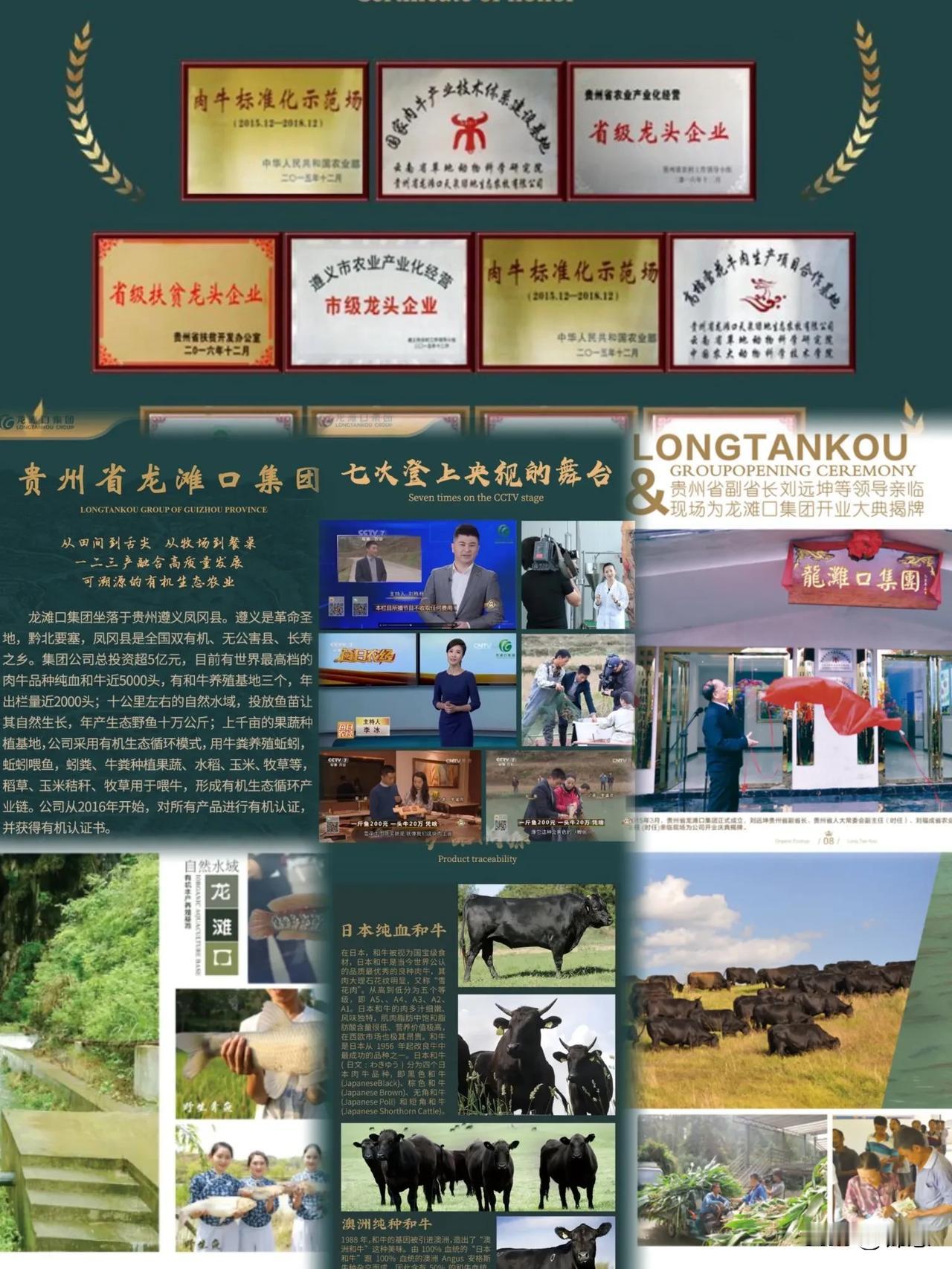 黔龙阁餐厅｜生态珍味，匠心呈宴——昆明西山区的贵州风味秘境！

🌿 品牌基因：