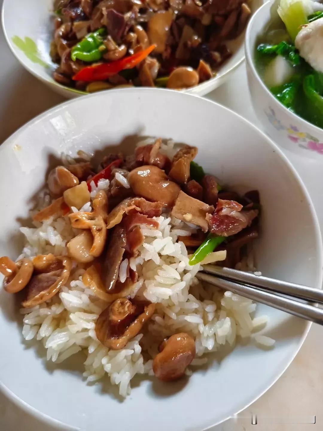 大自然的美食，下雨几天就不能错过了。看天想想，看山就知道了。天上下雨，地上出菌子