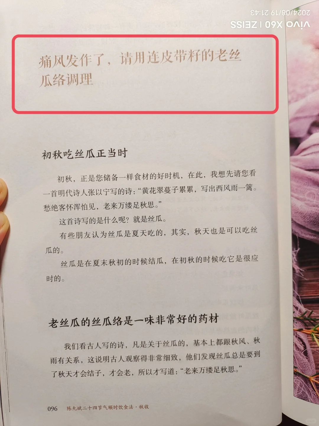 陈允斌老师——吃丝瓜的智慧，涨知识🔥