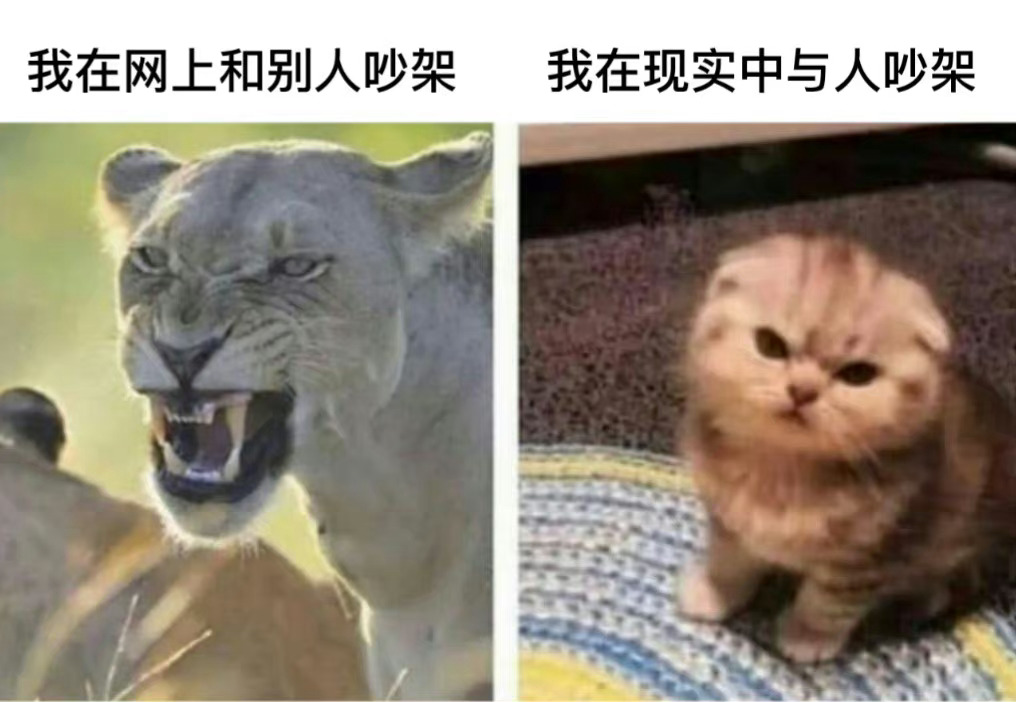 全身上下只有键盘不是吃素的 ​​​