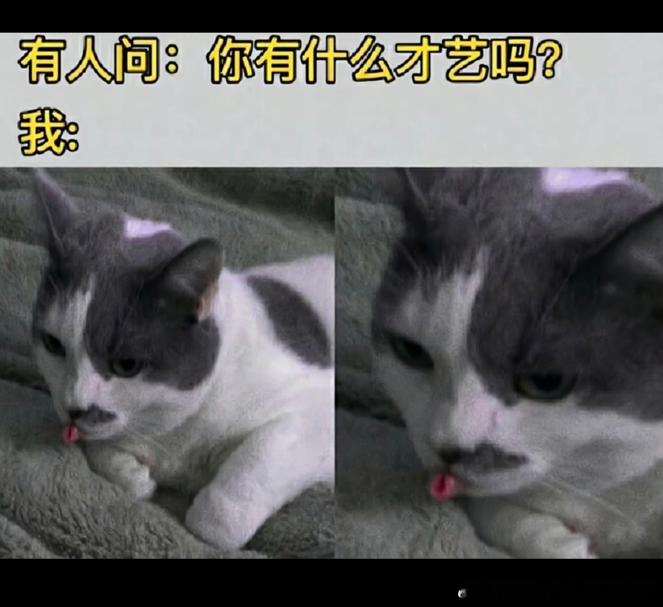 6909我的才艺 ​​​