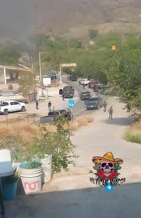 太惨烈了，墨西哥一整队武装警察分队，都被墨西哥贩毒物资杀光了，就只有一个人幸存！