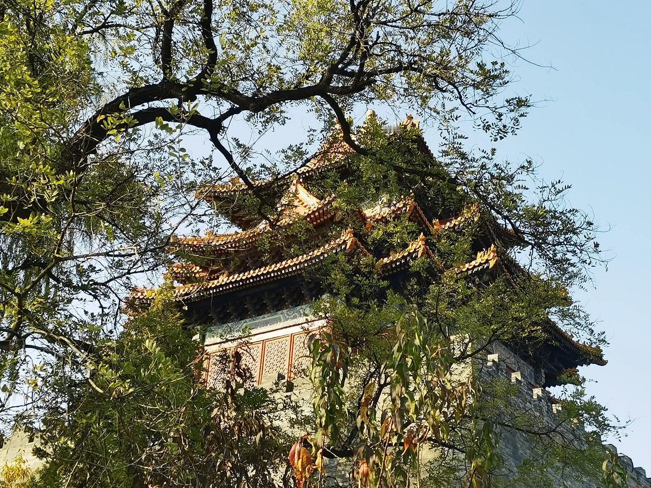 今年立冬的前一天，事隔近二十年，再次走进北京故宫博物院，去寻找甲辰年最后的秋色。