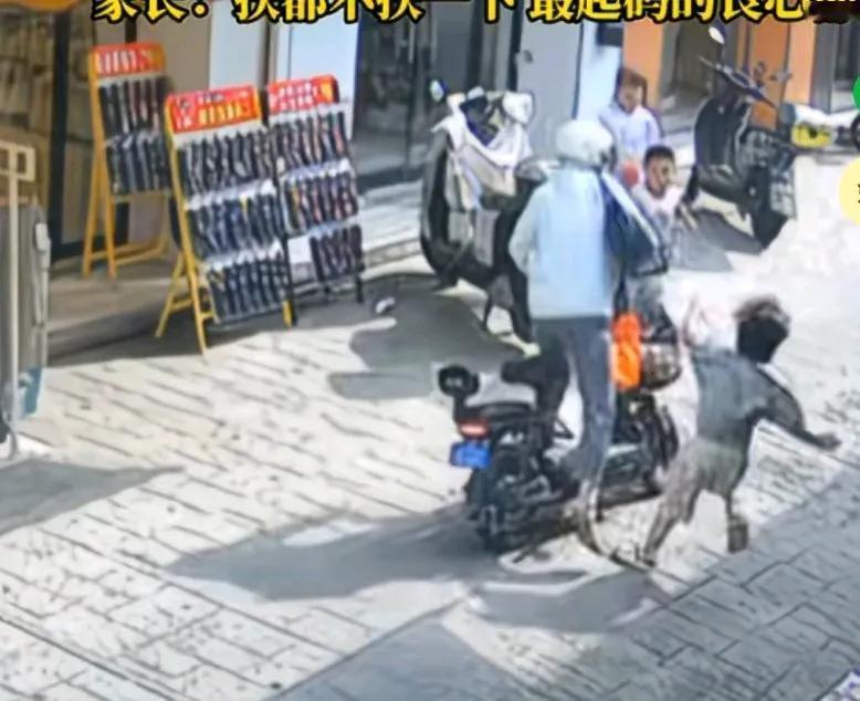 女子骑车将小孩撞倒后，骂了两句，骑车离去，家长说扶都不扶一下，
最起码的良心都没