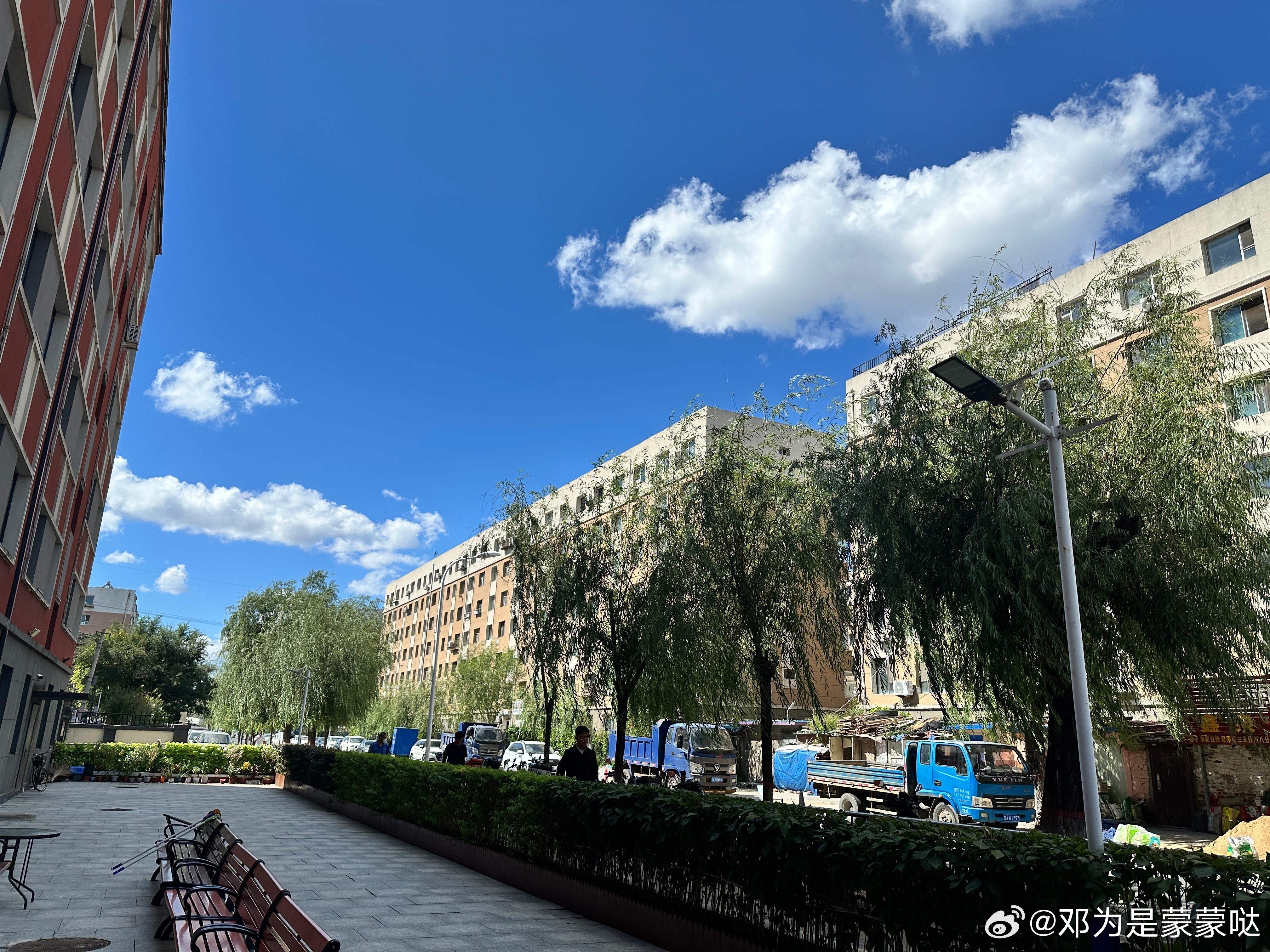 – ☀𝗛𝗲𝗹𝗹𝗼 ²⁰²⁶/₉.₁九月上班第一天，求个上上签愿晚上睡得