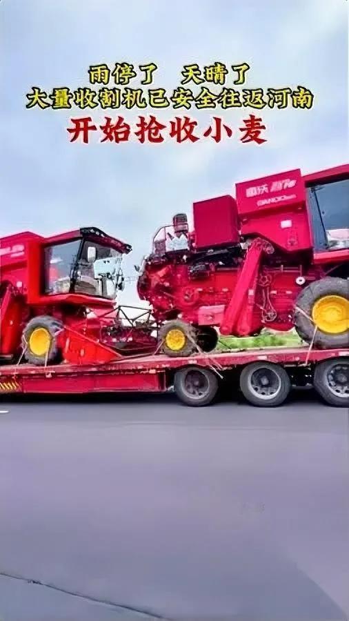 你知道吗？

跑跨省麦收的老司机

今年首选的目的地居然是河南？

别以为是河南