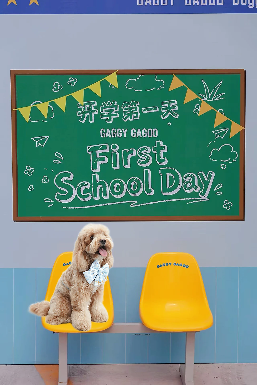 🐶麻麻 我们开学啦🎓