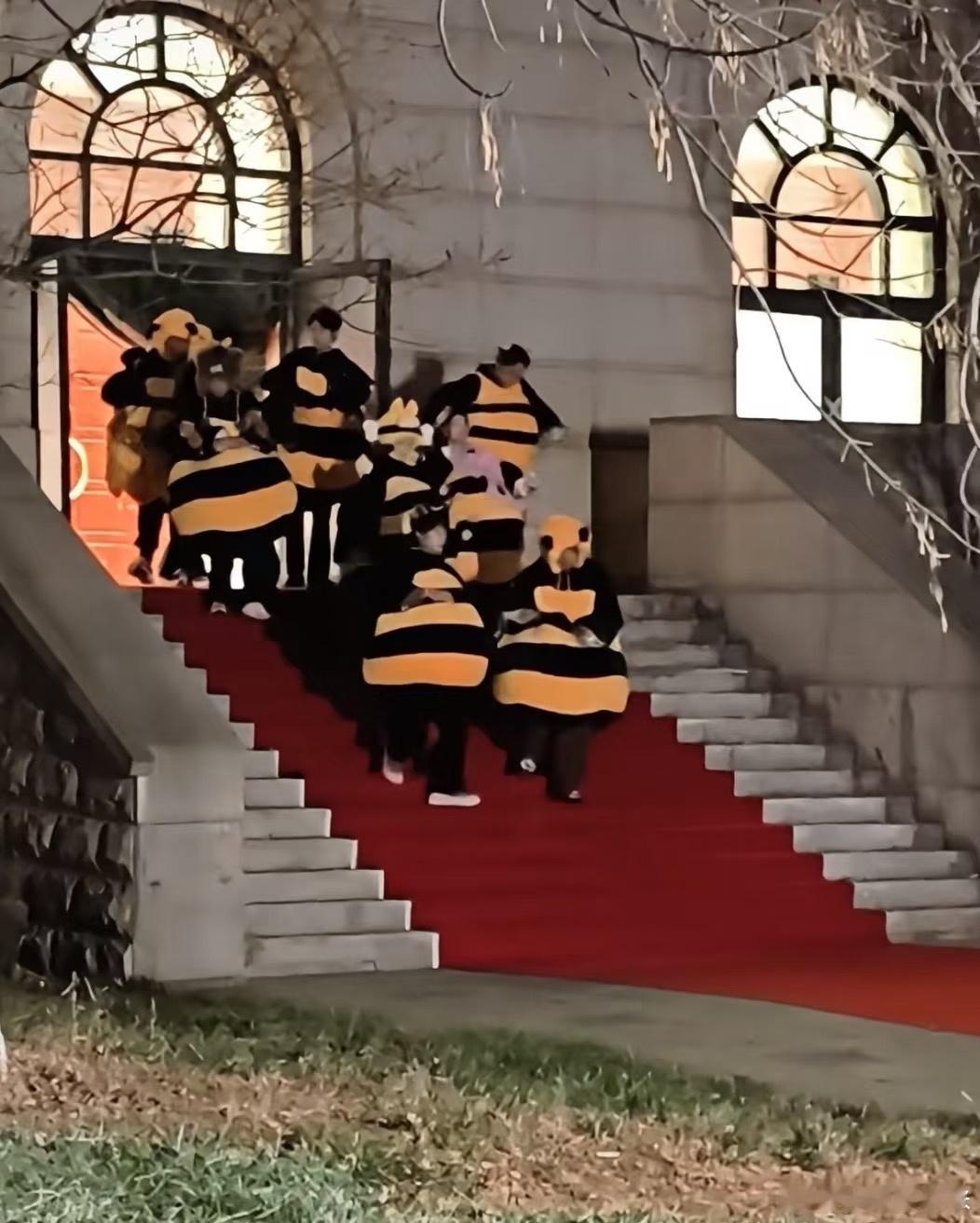 魏大勋进去daddy出来baby周五晚高疯 这反差谁懂！气场Daddy秒变软萌B