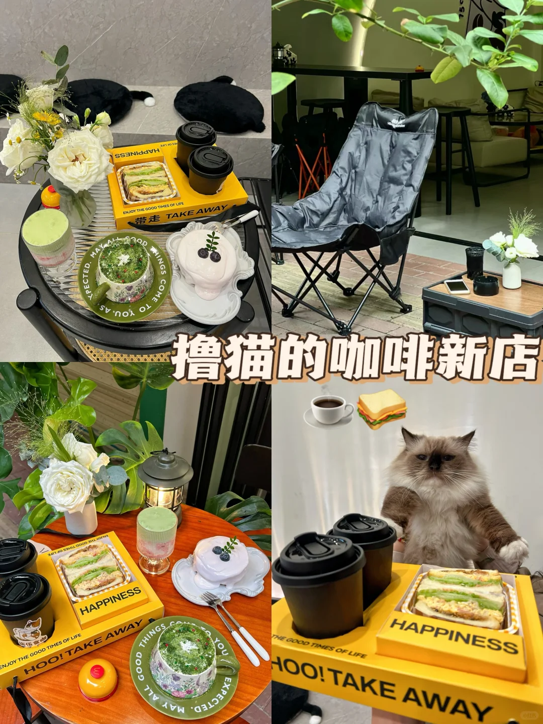 潮州新店☕️撸猫的柒伍食咖