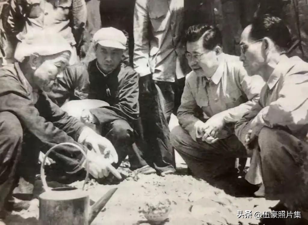 上世纪五十年代末，时任山西省委第一书记陶鲁笳（右二）与中共华北局书记兼北京军区第