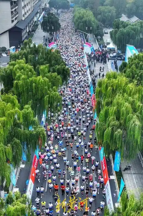 励志博主挑战365天一天一个全马震撼！365个全马？这数字看得我膝盖着火！已经不