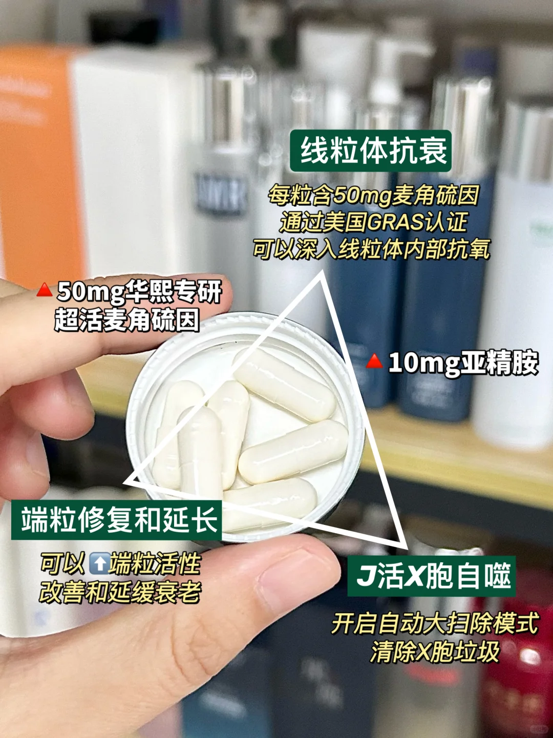 麦角硫因卷疯了！细胞抗衰破局是真事儿！