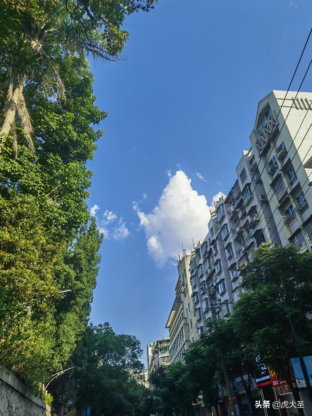 收集天空云朵图片真的会上瘾！就像在鹤城街道，一街、一云、一排房、一排树，构成了绝