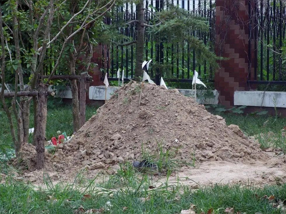 堂哥60岁去世了，堂嫂刚50岁，堂嫂在家里住了半年，天天喊差害怕，白天吃不下饭，