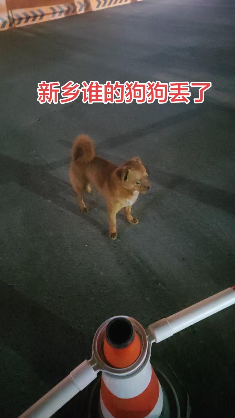 @1群