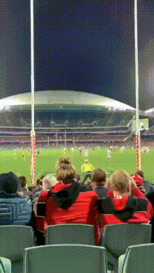 这是拿儿子抢了下球么？
估计得留鼻血了吧