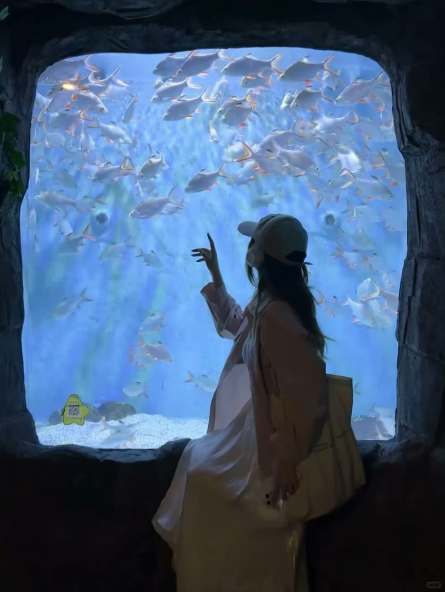 水族馆就是live图的意义……真的动起来每一帧都很美！ 