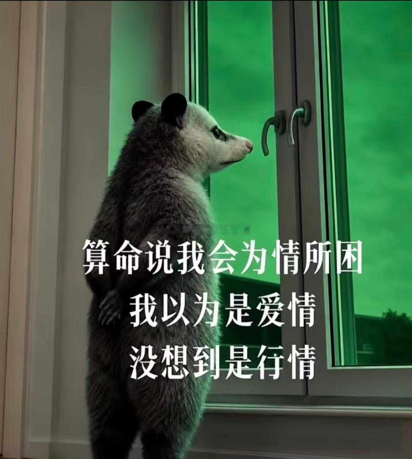 坦白来讲，这两单下来心态多少受到影响。交易最怕心态失衡，容易接连做出情绪化决策，