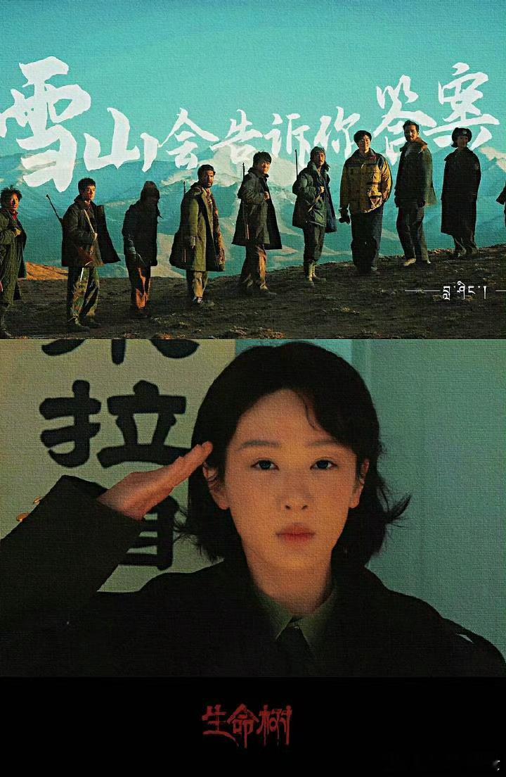 有人预测白玉兰最佳女主是杨紫，大家觉得她配得上吗？ 