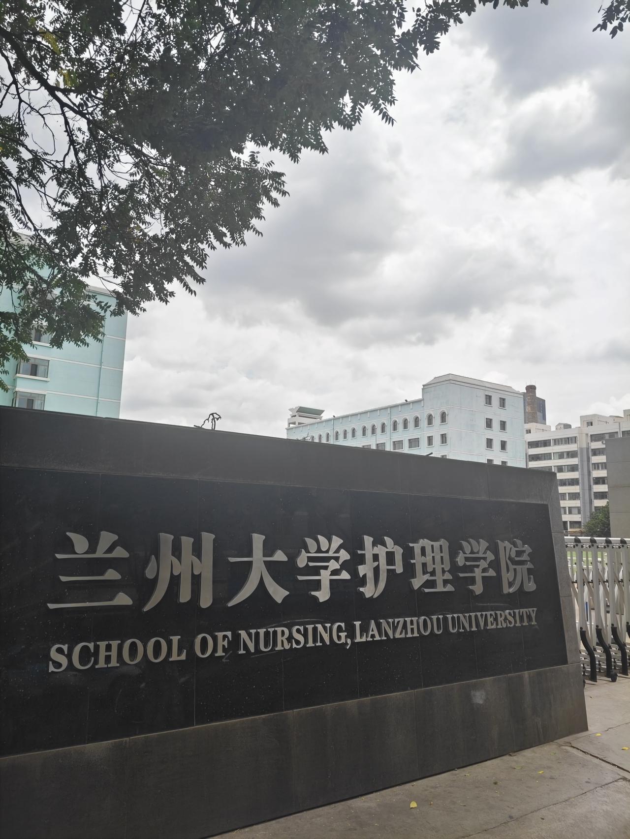 兰州大学的护理学院和新疆大学的化学工程，一个是985比较靠后的专业，另一个是21