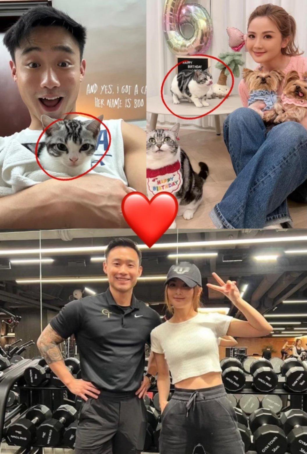 蔡卓妍和老公通过关智斌介绍认识 果然这个时候总少不了要提到前任蔡卓妍 郑中基