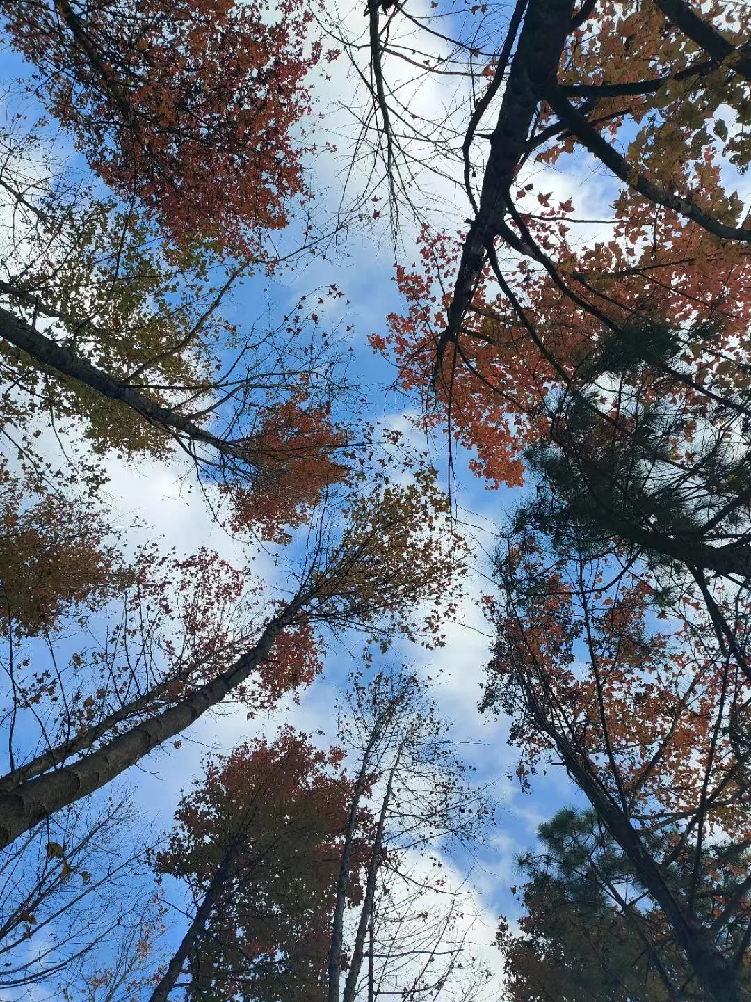 相处久了你会发现，
人与人之间最大的吸引力，
不是你的容貌，也不是你的光环，
而