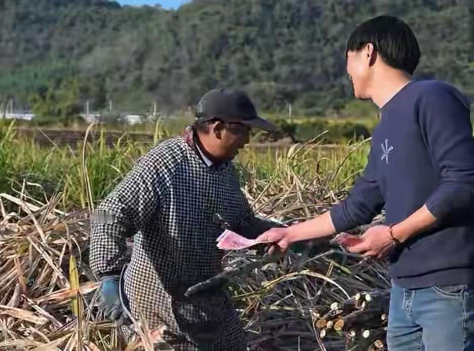 广西柳城220亩甘蔗地，8名贵州汉子挥汗3个月狂揽18万！网友吵翻天：这钱你敢挣