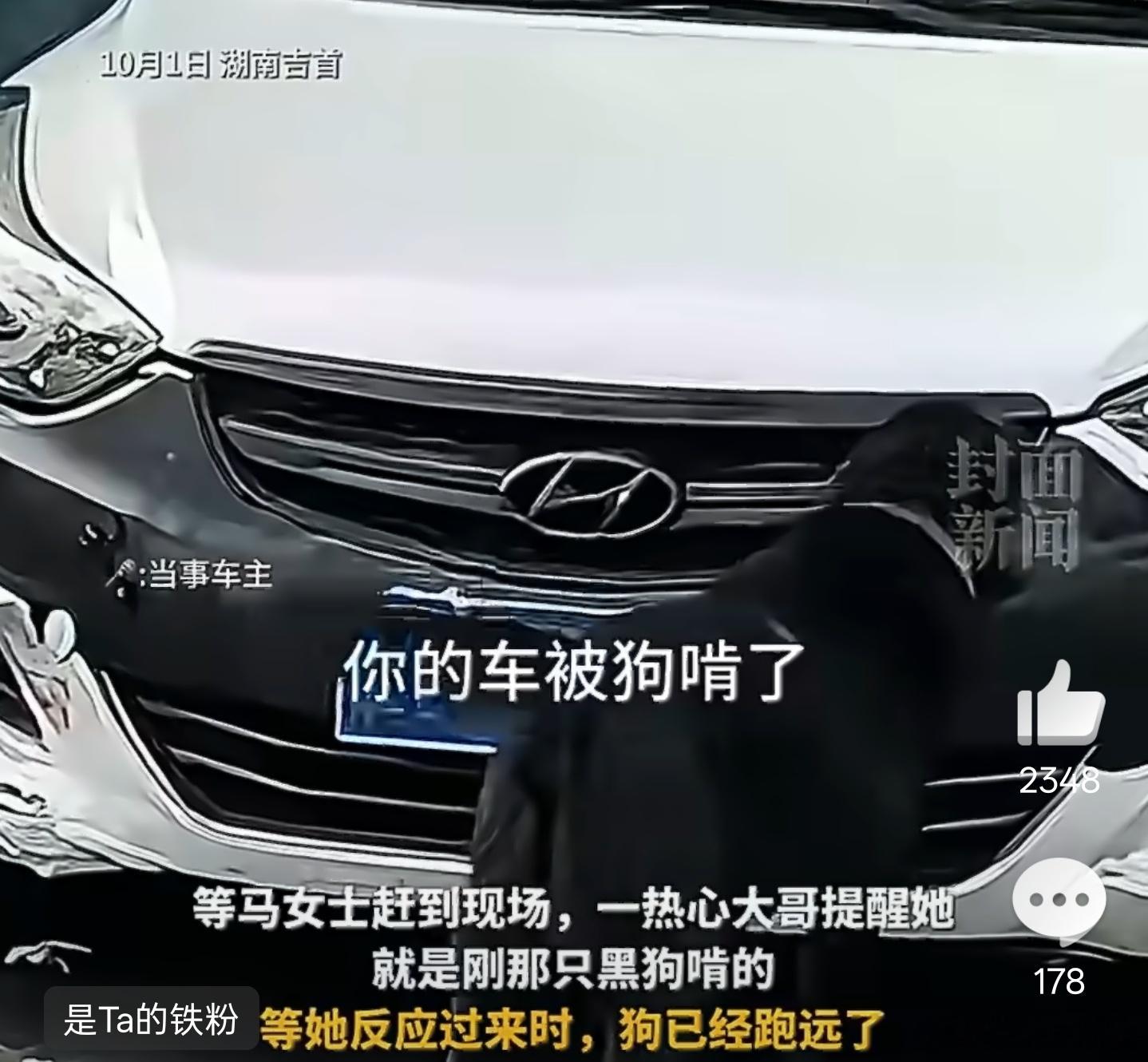 车被黑狗啃到面目全非一直以为是段子，结果真的有狗回去啃车子啊，也不知道啥原因，这