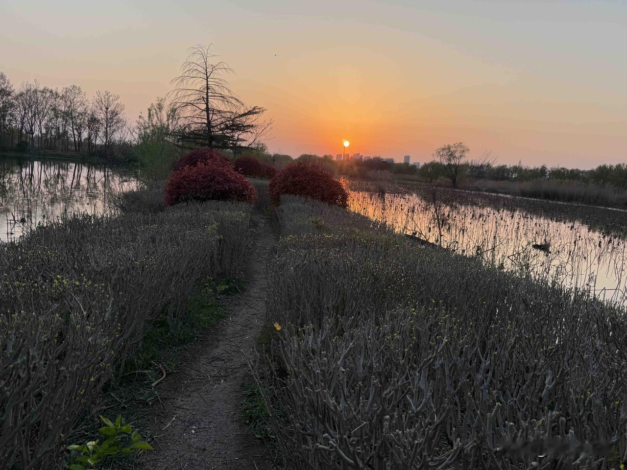 【小对联】
上：底片；
下：……？