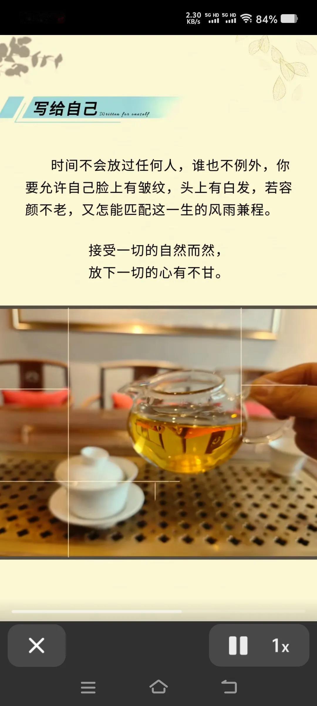 接受一切的自然而然