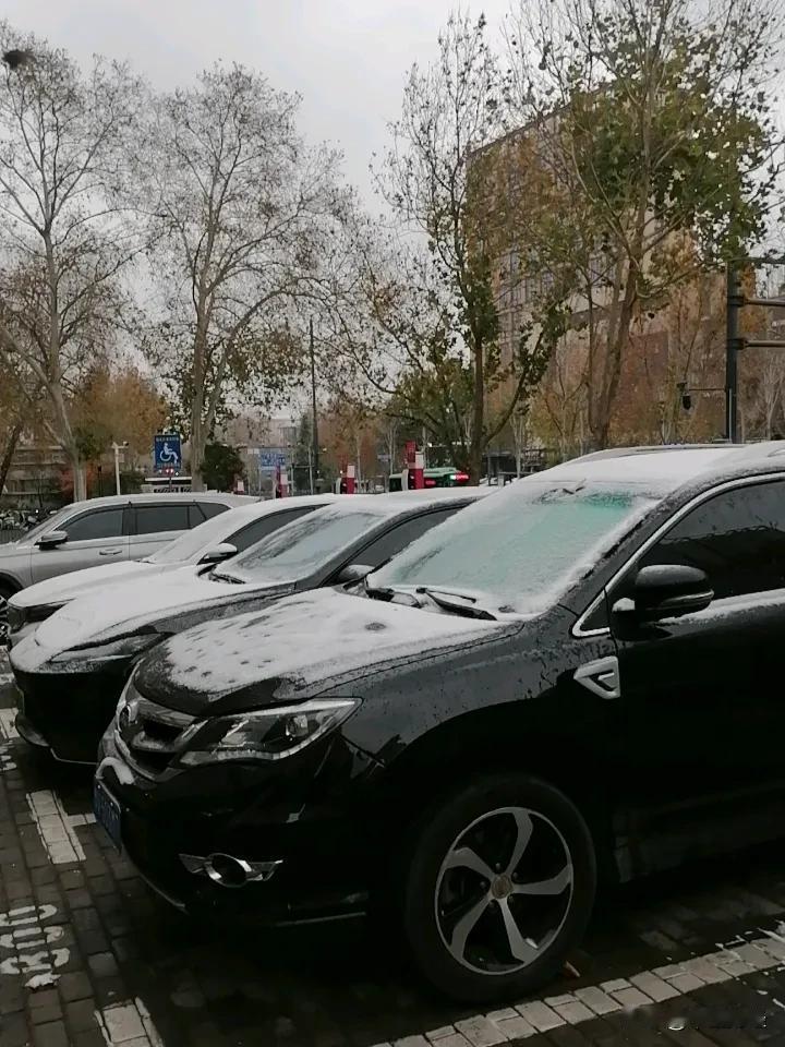 郑州今天下了25年底的第一场雪，雪花飘飘，空气清新，虽然并不是十分紧密，但是却带
