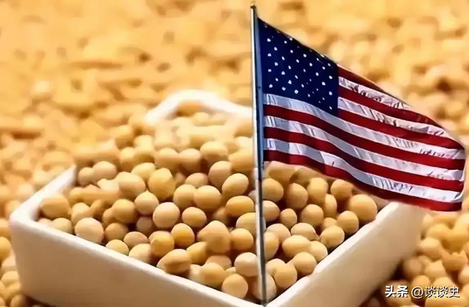 美国农民在乞求美国政府和中国达成贸易协议
特朗普在竞选的时候说请美国中部的农民放