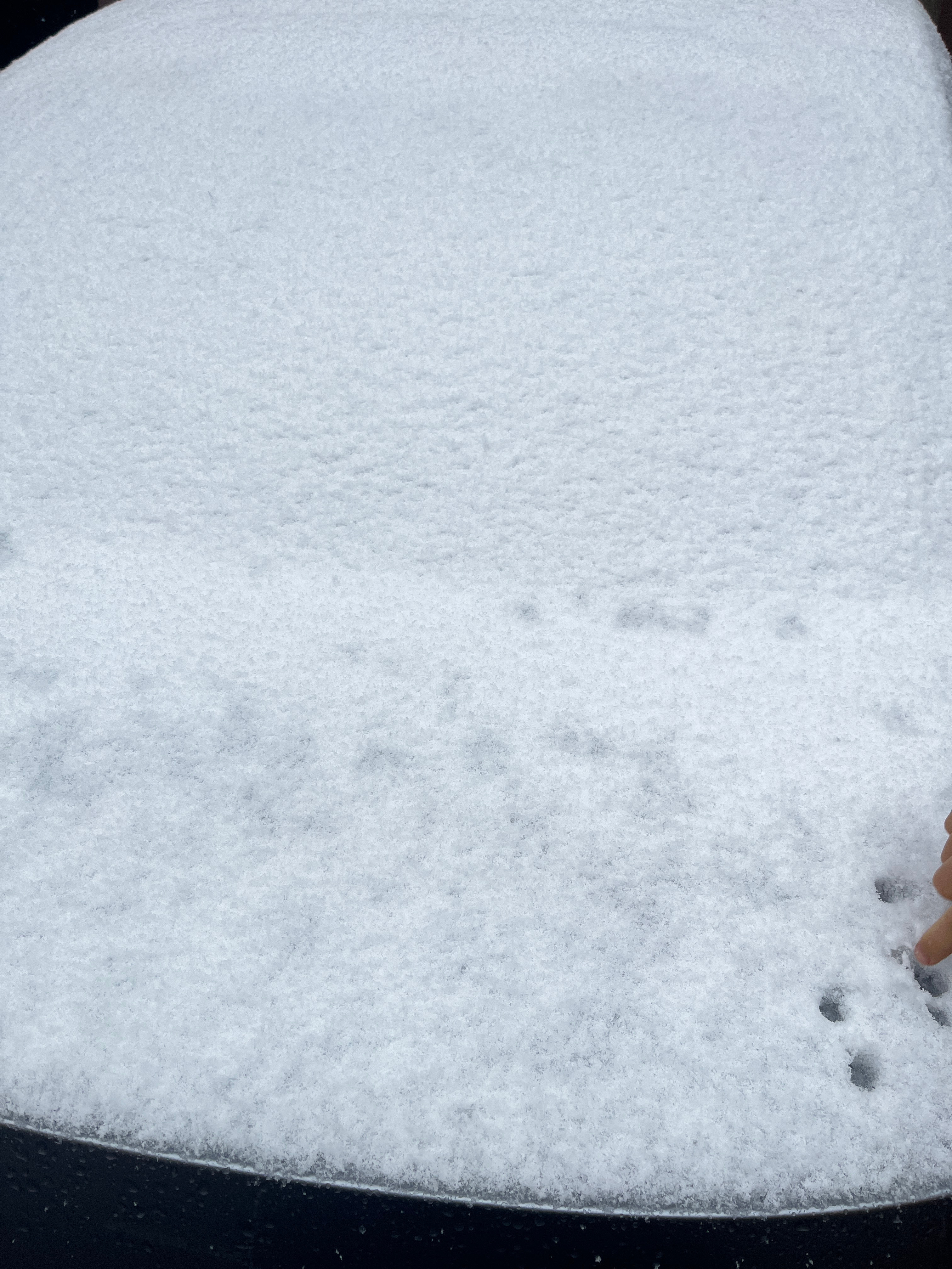 一觉醒来下雪了[开学季][开学季] 