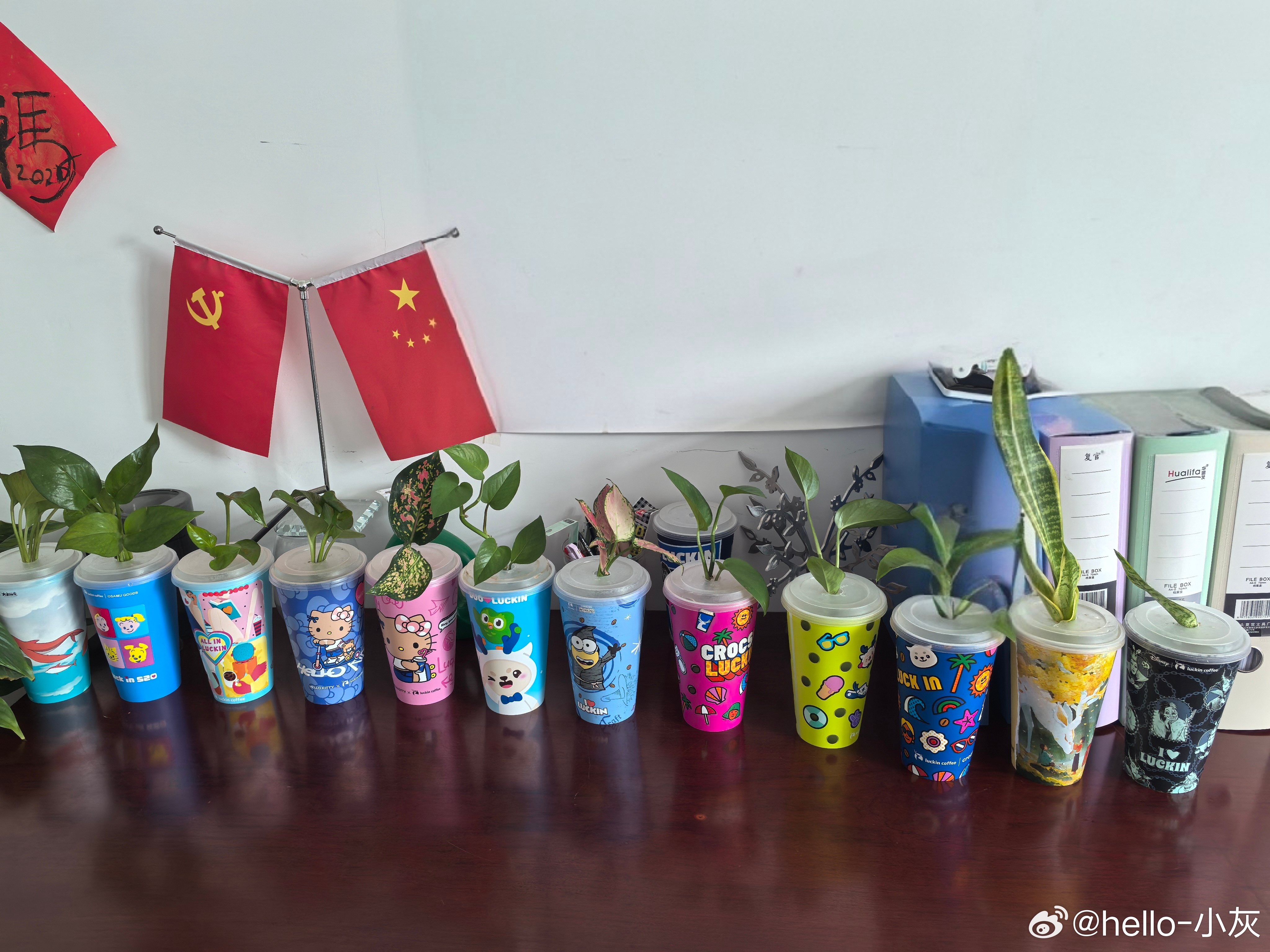 津彩绽放点赞天津 咖啡杯的再利用