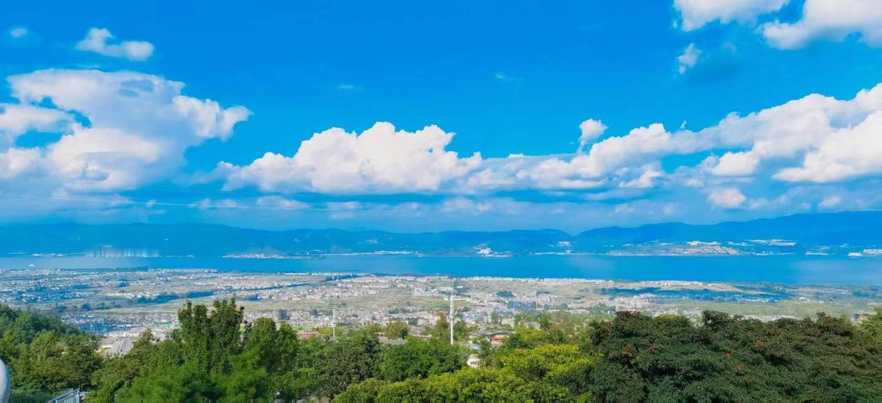 每日洱海
随手拍美景记录生活点滴