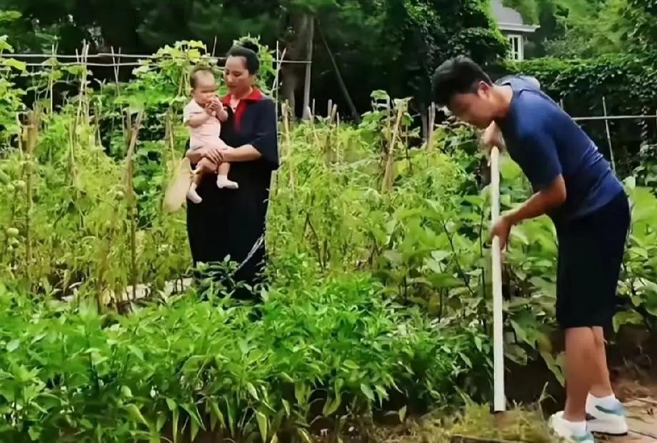 耿为华好福气呀！他在菜园里劳作，年轻的妻子怀抱着二宝在一旁陪伴。这妥妥是幸福美满