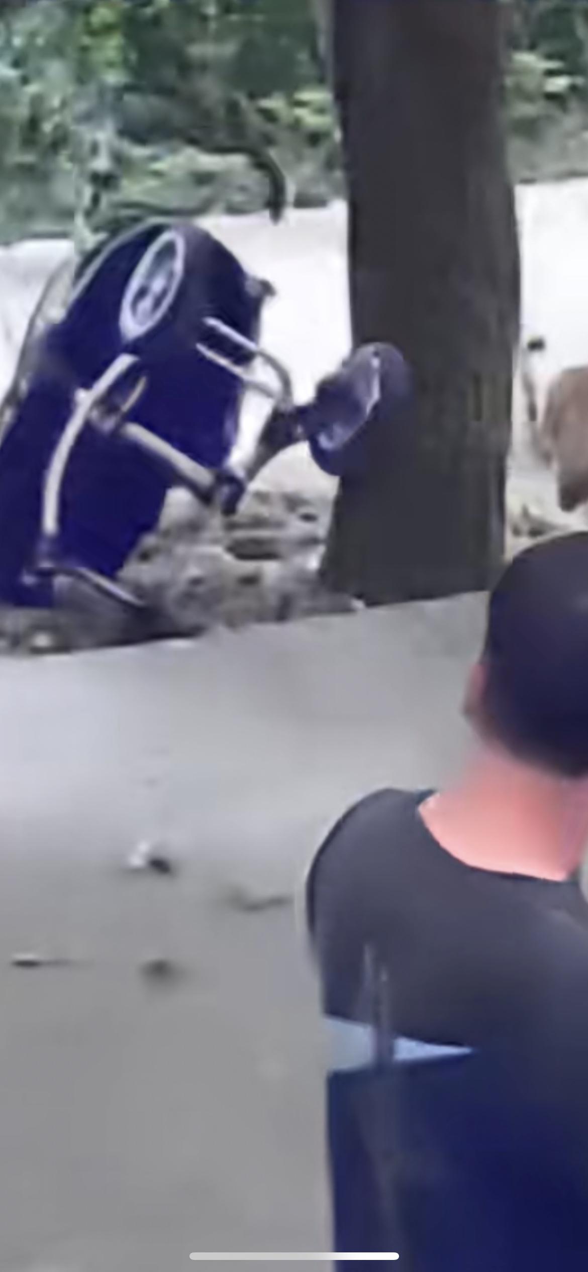 10月12日安徽六安，宝爸带娃时看手机婴儿车溜下坡翻车，懊恼不已自扇耳光，宝爸：