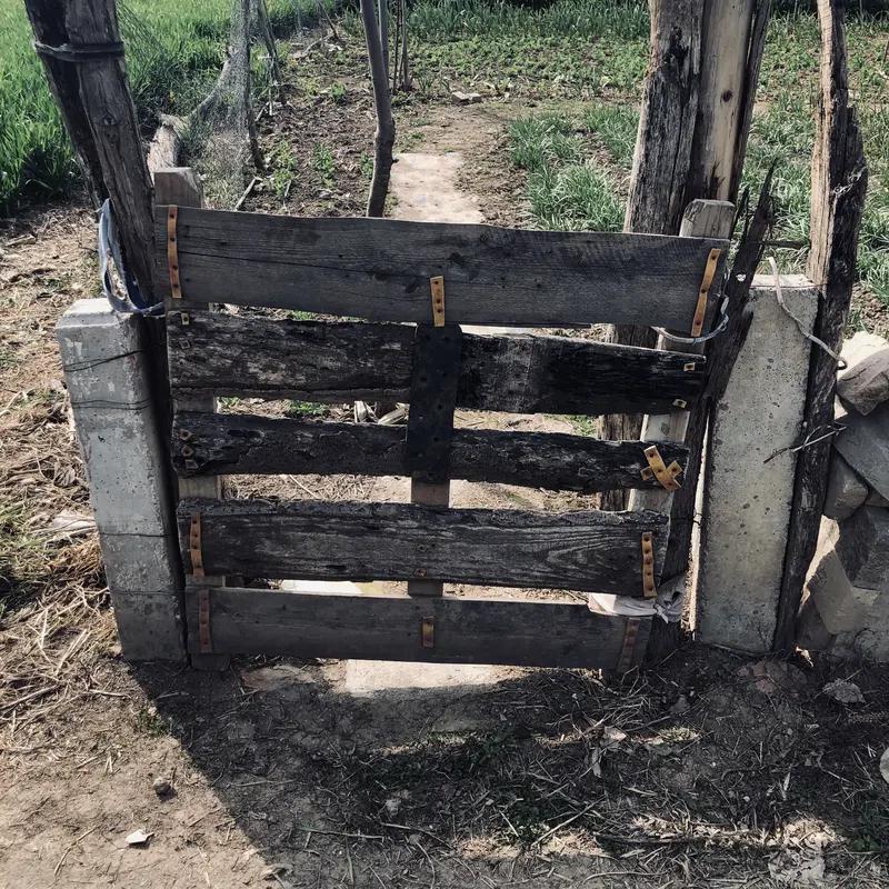 风雪交加的夜晚，犬吠声划破寂静——有人踏着深雪回来了。

这画面多像生活：外面越