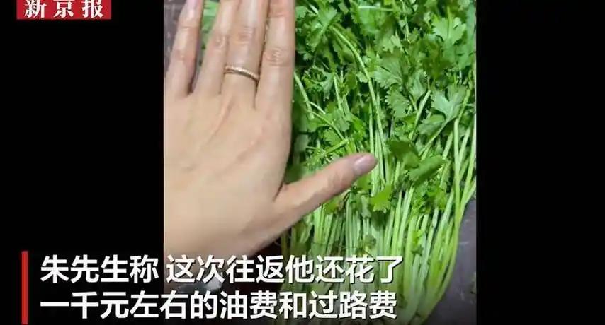 “就是不能让小人占便宜！”江苏徐州的商家朱先生以8.59元卖出一把香菜，一位80